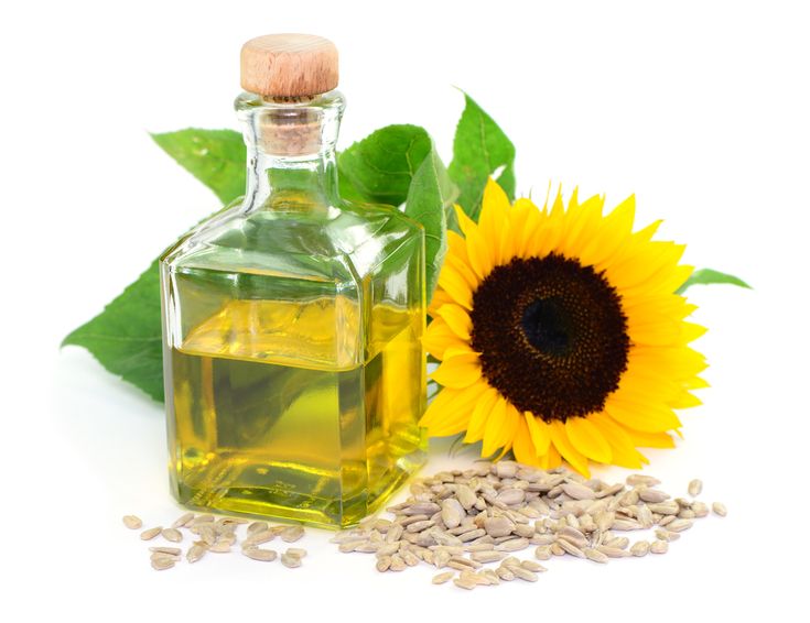 Bulk Certified Sunflower Oil for Public Sector Procurement; Affordable Prices & Framework Agreements